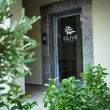 Olive 101 Appartement Peraía
