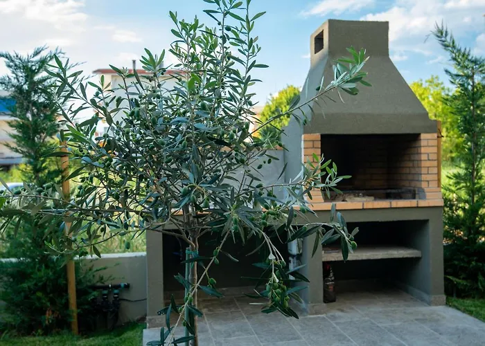 Olive 101 *
