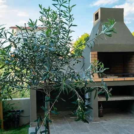 Olive 101 *