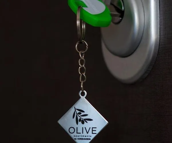 Olive 101 Peraía